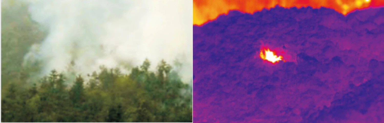 compared picture compared picture